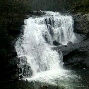 Meet your Posher, Brenna